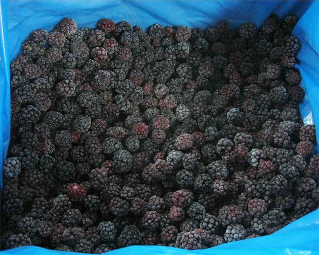 Frozen blackberry
